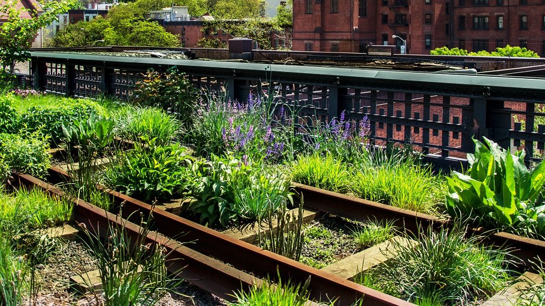 Progettazione e realizzazione per giardini pensili